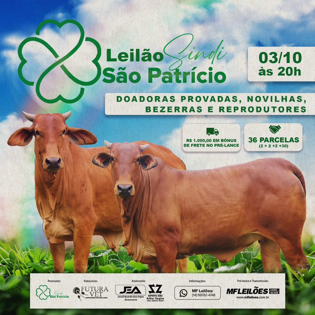 LOTE FORA - GVM 3922 - ENDORA DO SAO PATRICIO