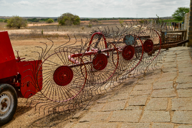 LOTE 12 - ANCINHO ENLEIRADOR 4 DISCOS