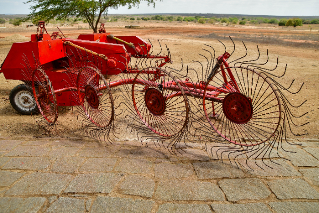 LOTE 12 - ANCINHO ENLEIRADOR 4 DISCOS