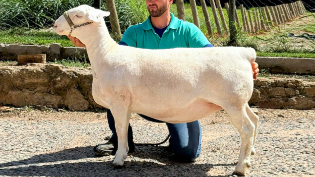 LOTE 29 - INTERLAGOS TE 4939