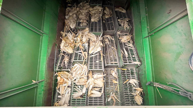 LOTE 07 - COLHEITADEIRA 1175 E PLATAFORMA 319 JOHN DEERE E CARRETINHA DE TRANSPORTE CTP ANO 2009