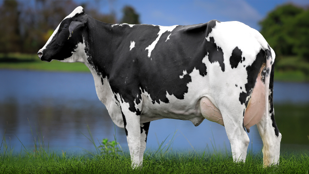 LOTE 10 - HOBRAF95881 - RS RANCHO ALEGRE PAKI 2918