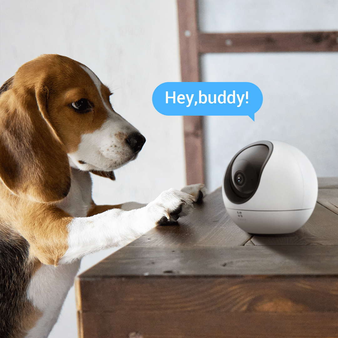Using two-way audio camera to monitor pets