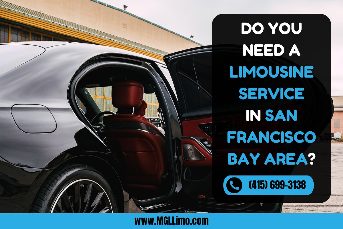 Party Limo Rental