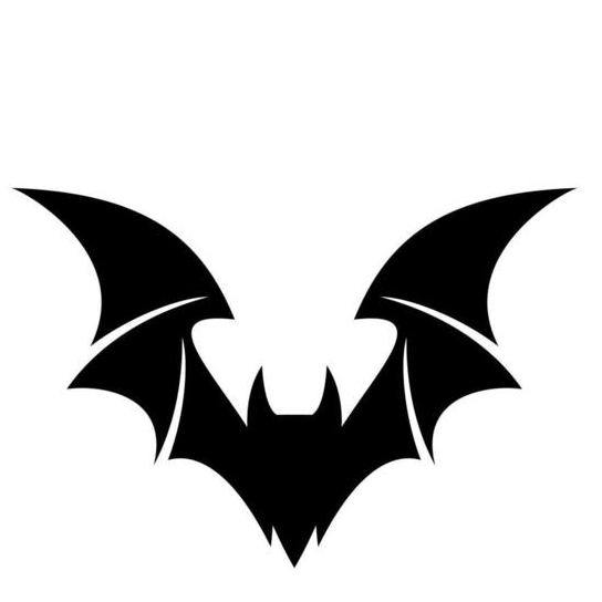 Premium Personal Profile Image
