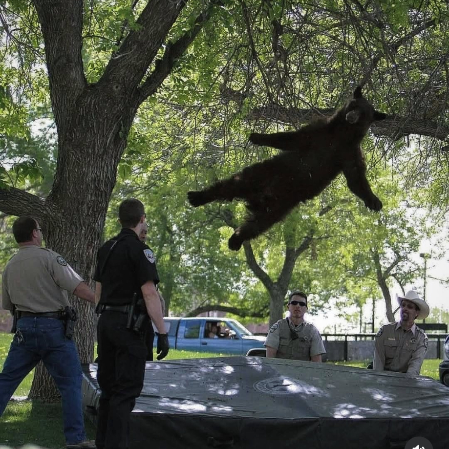 Premium Personal Profile Image