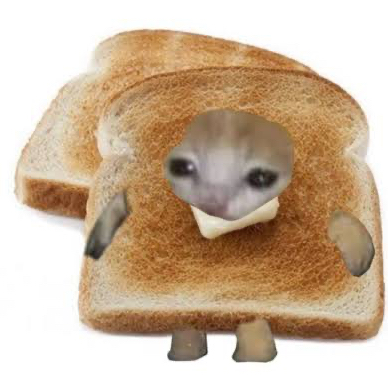 Premium Personal Profile Image