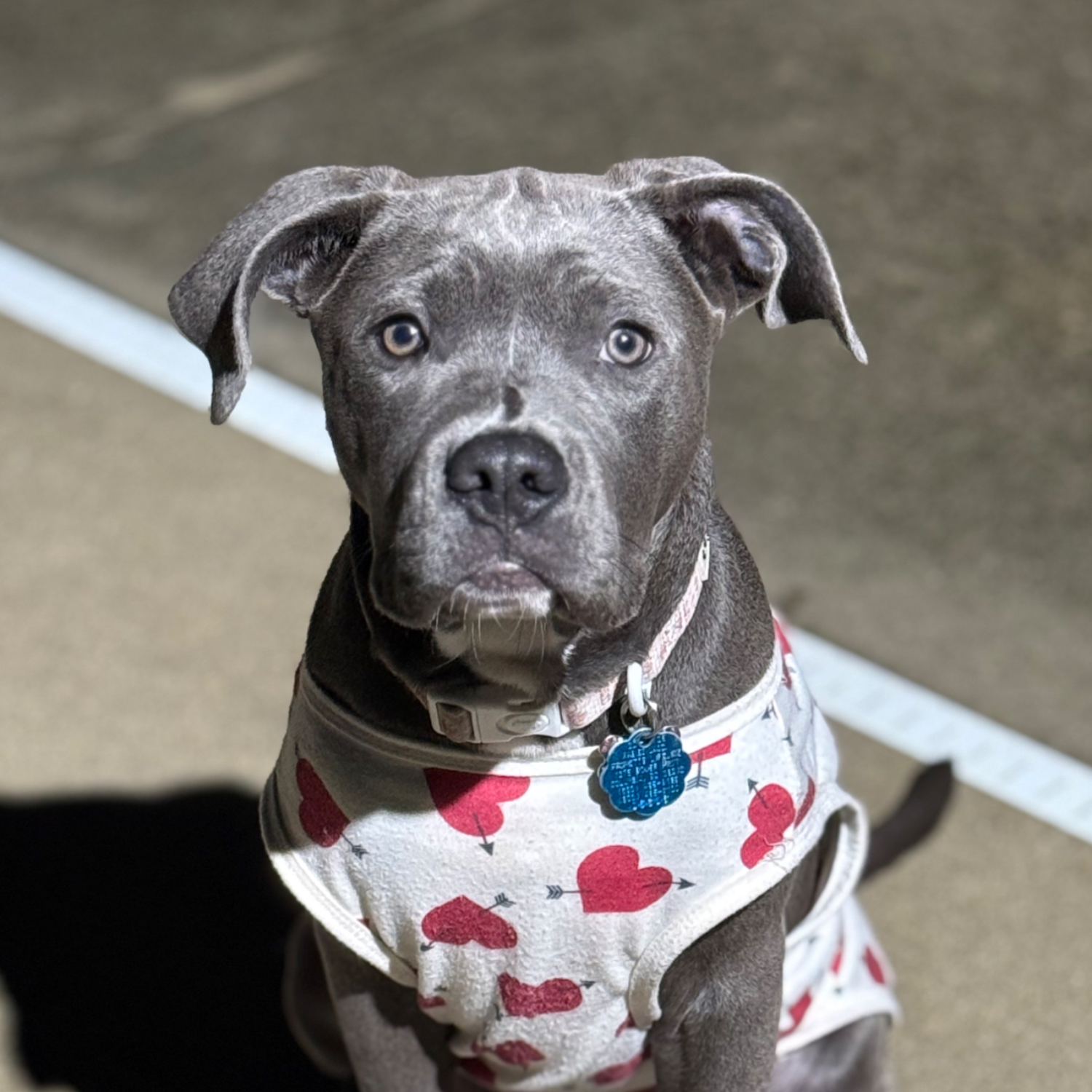 Premium Personal Profile Image