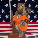 EZ PAWN Vendor Avatar