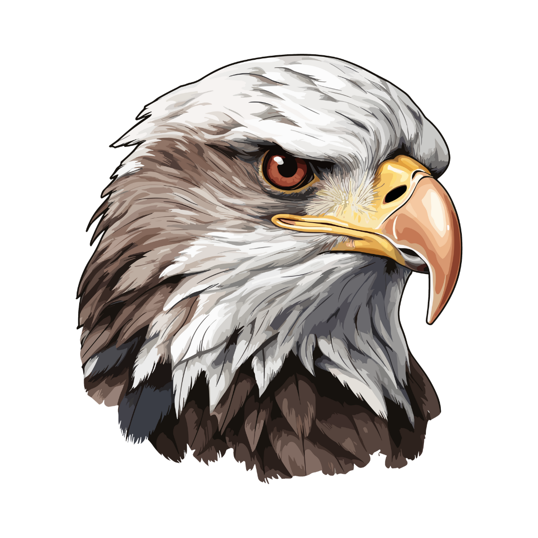 Premium Personal Profile Image