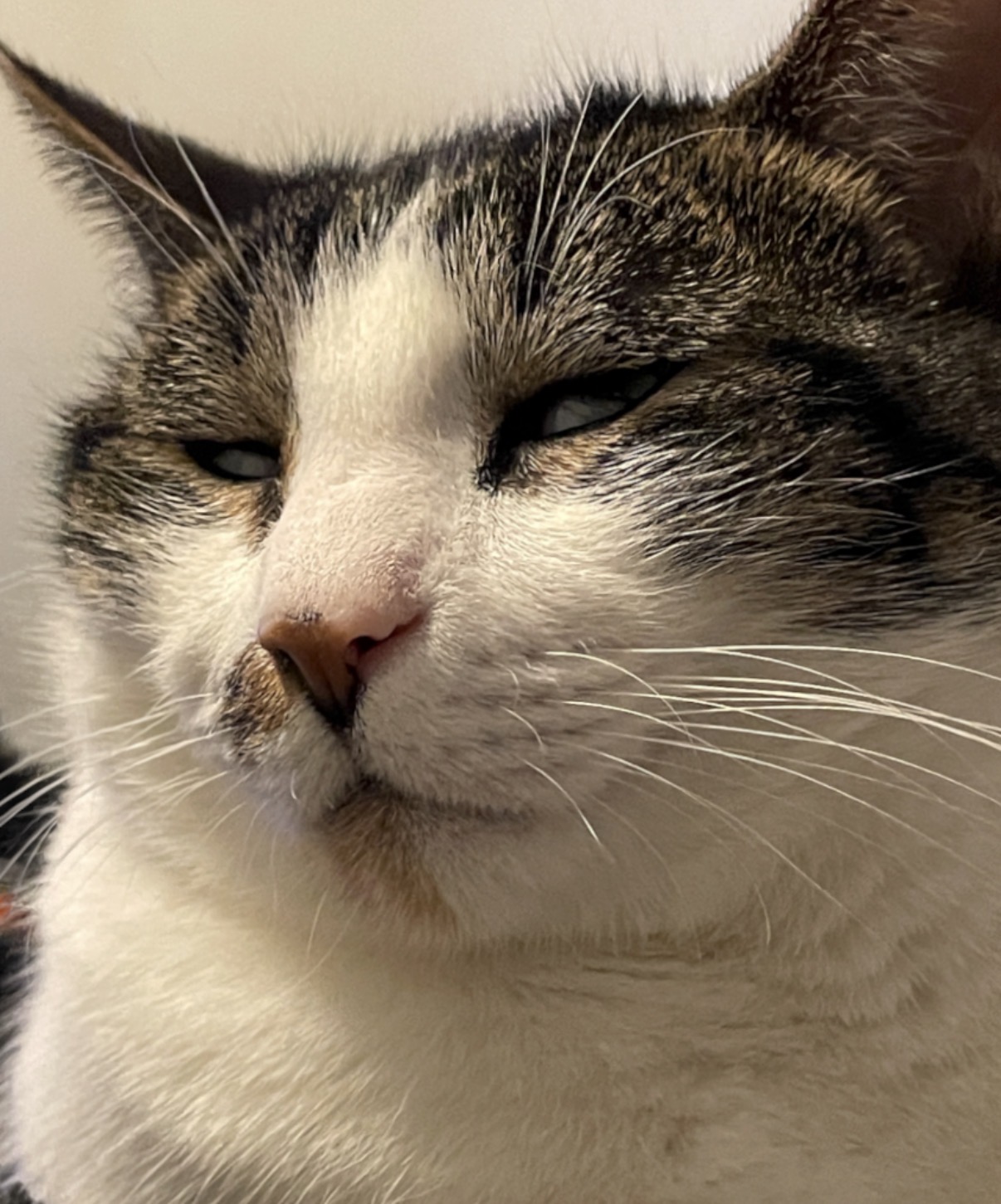 Premium Personal Profile Image