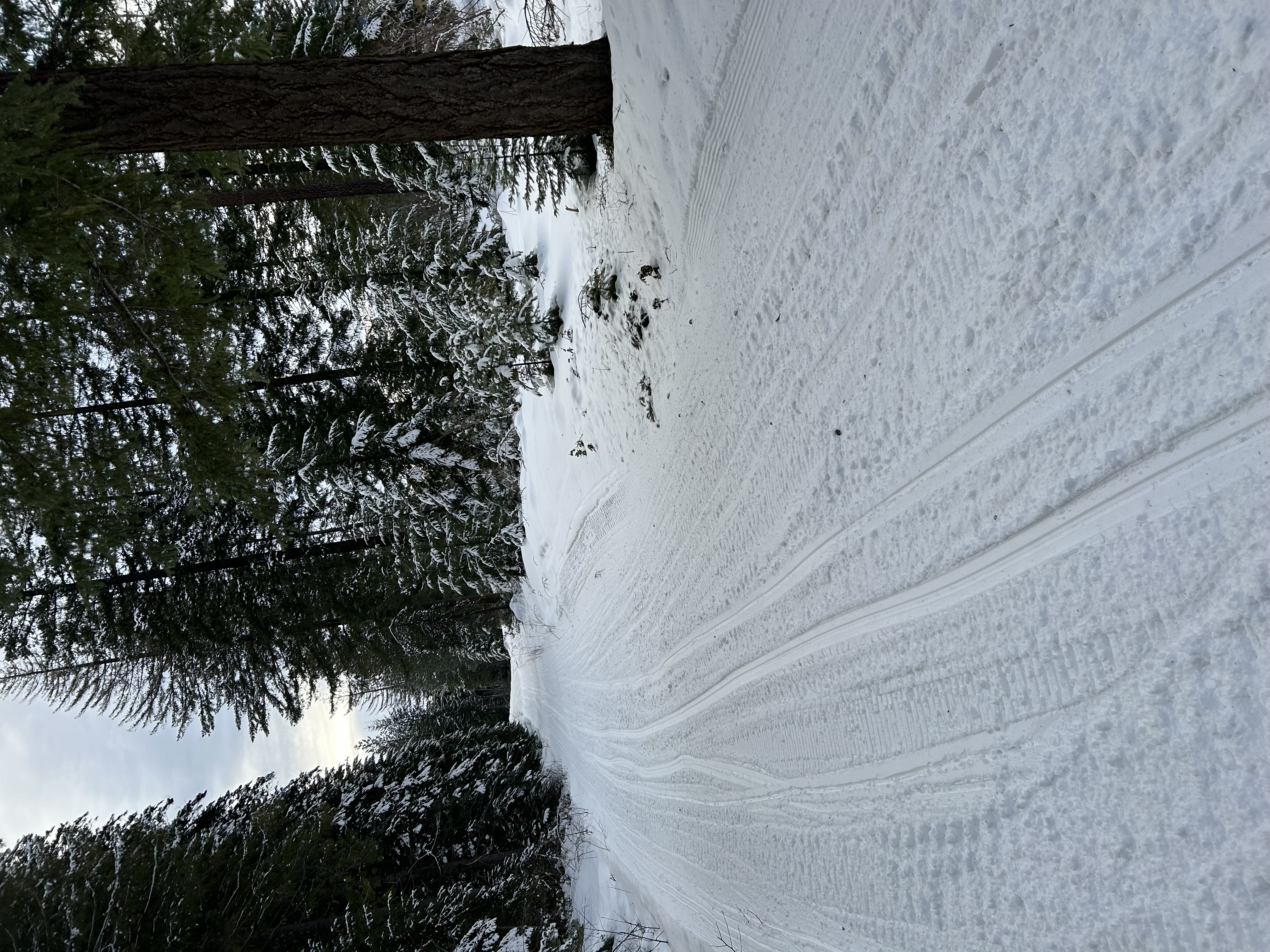 Premium Personal Profile Image