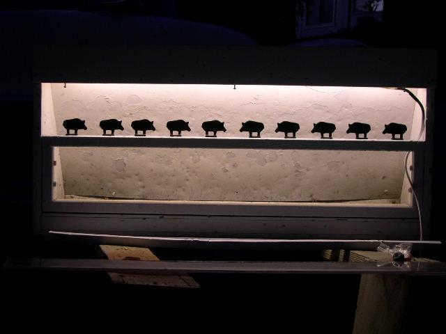 Premium Personal Profile Image