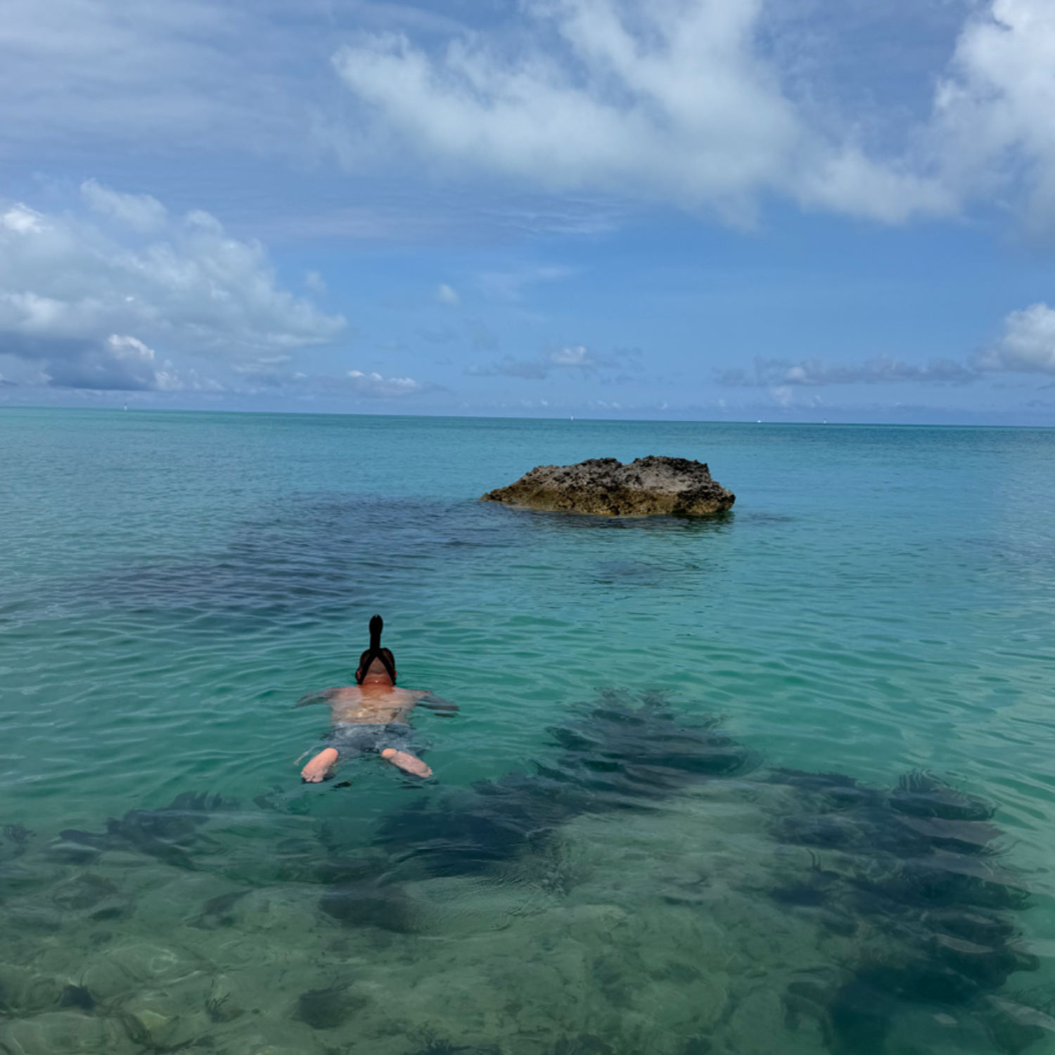 Premium Personal Profile Image