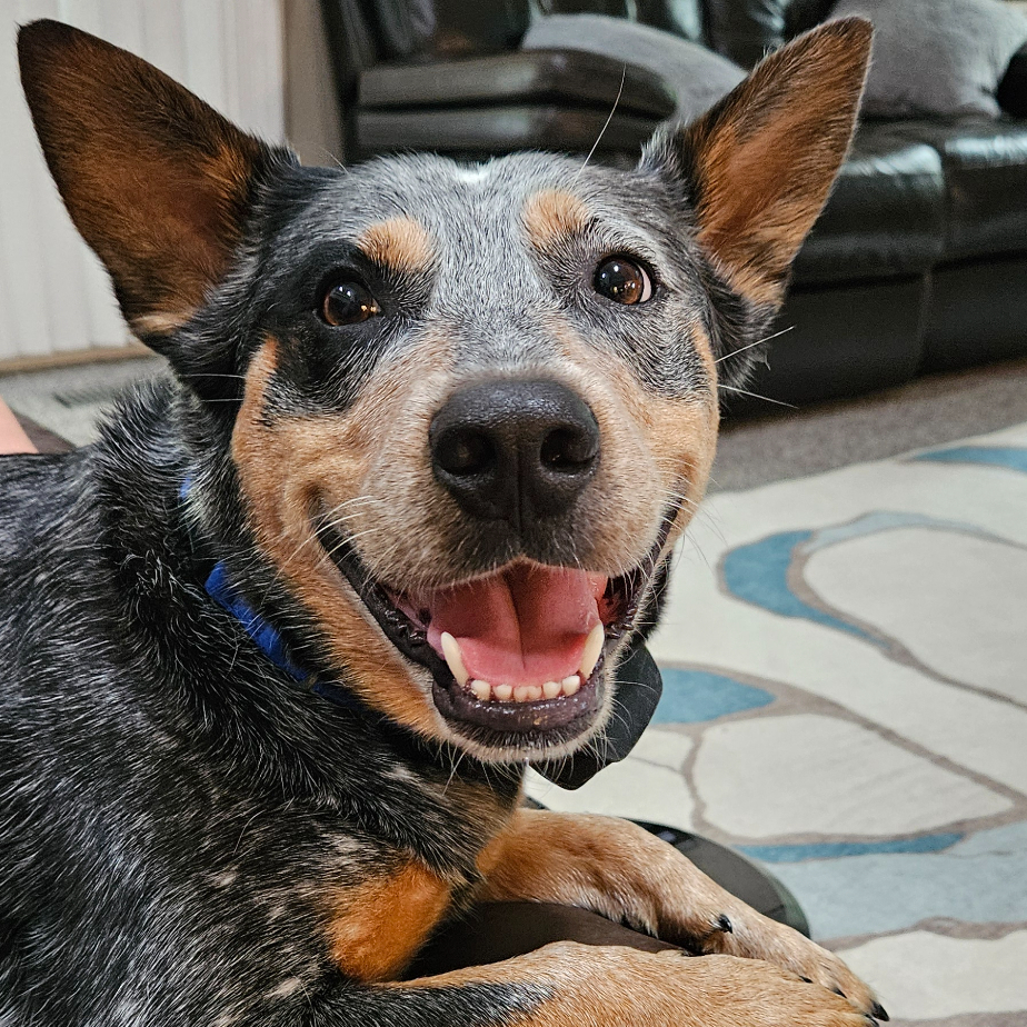 Premium Personal Profile Image