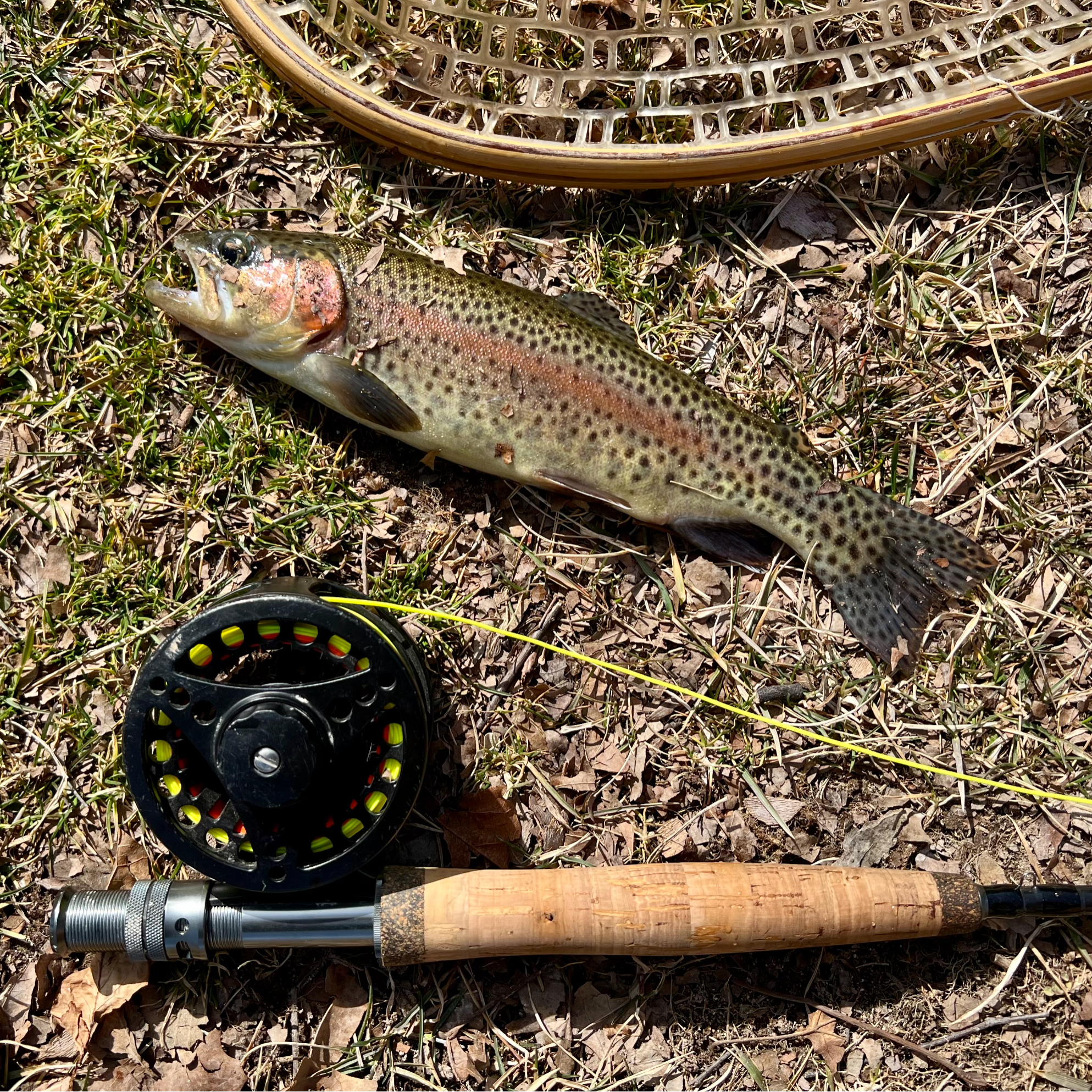 Premium Personal Profile Image