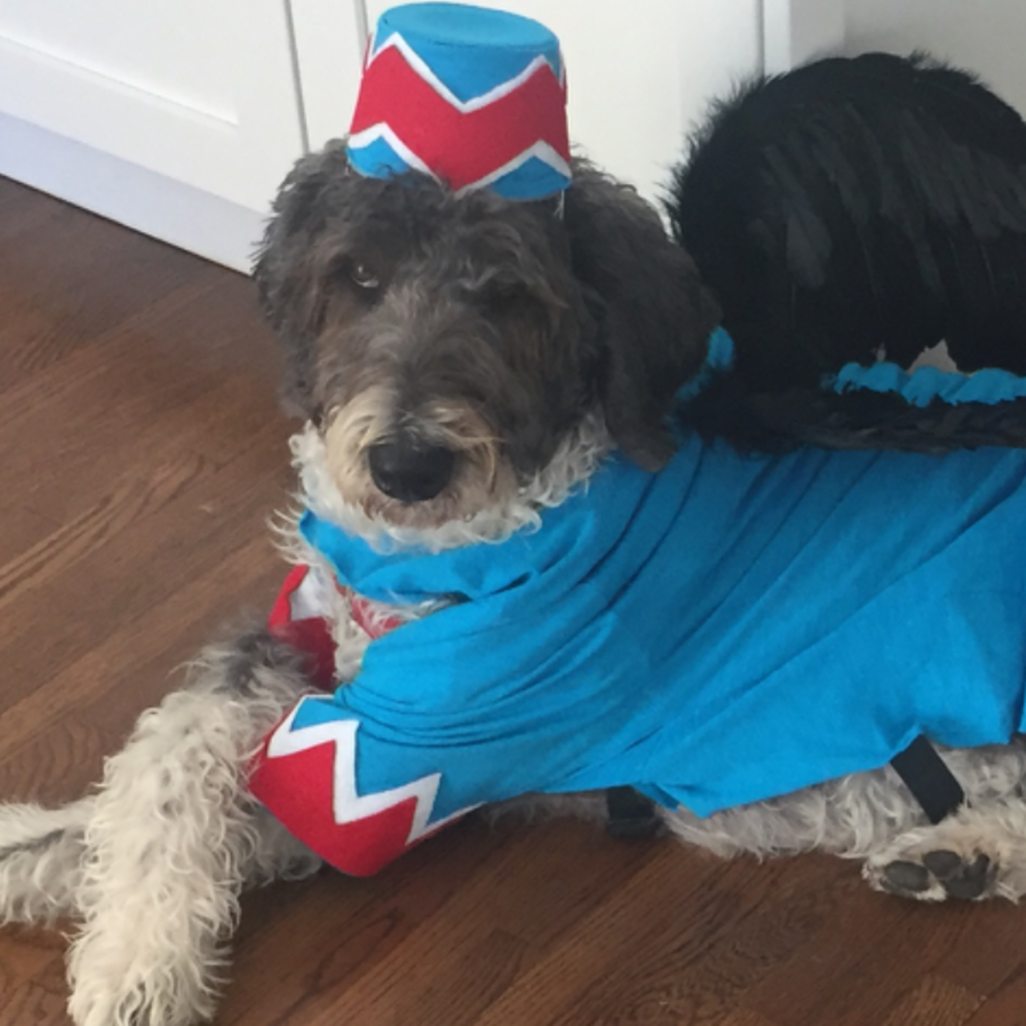 HerbyJr - User profile picture