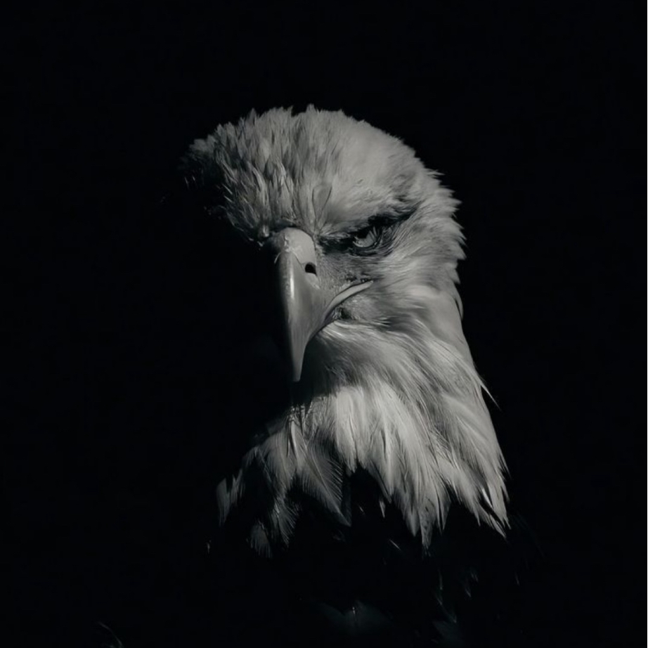 Premium Personal Profile Image