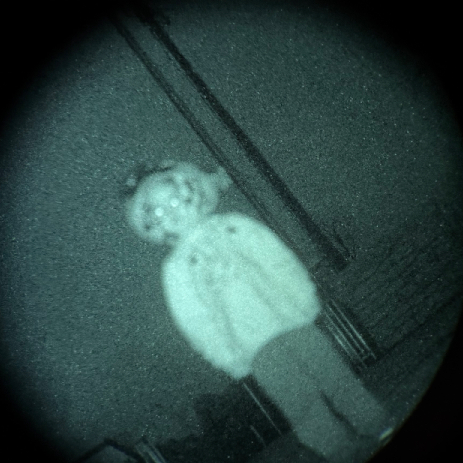 Premium Personal Profile Image