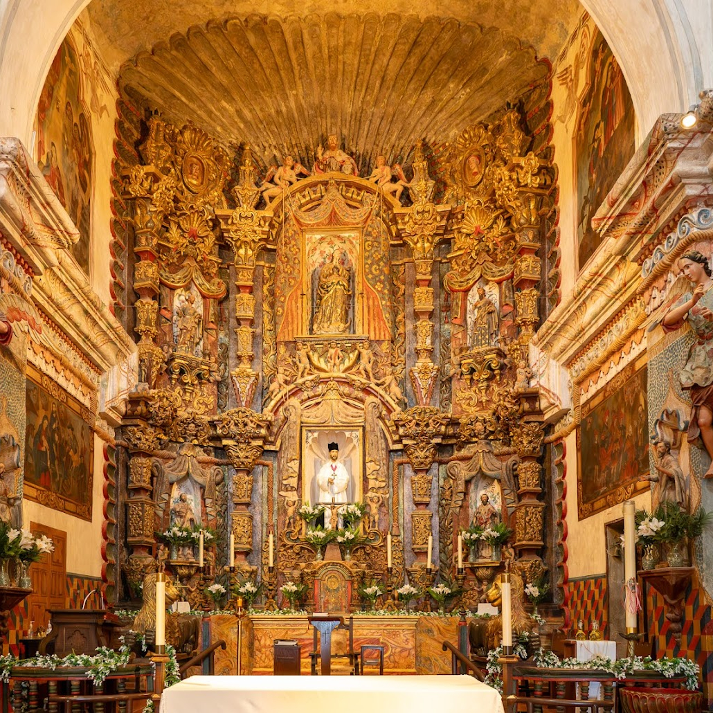 Premium Personal Profile Image