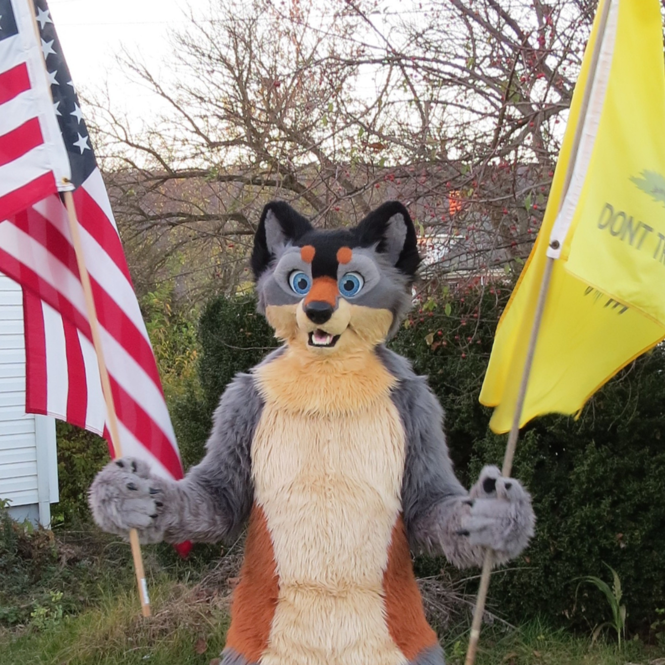 Premium Personal Profile Image