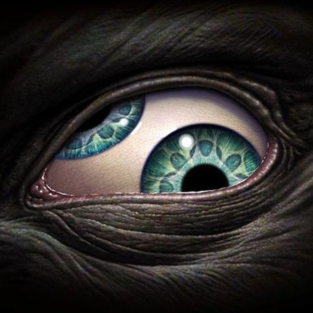 Premium Personal Profile Image