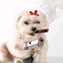 Guns 4 Less Vendor Avatar