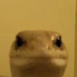 Premium Personal Profile Image