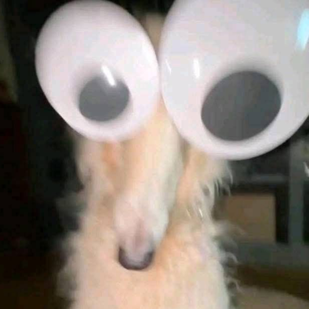 Premium Personal Profile Image