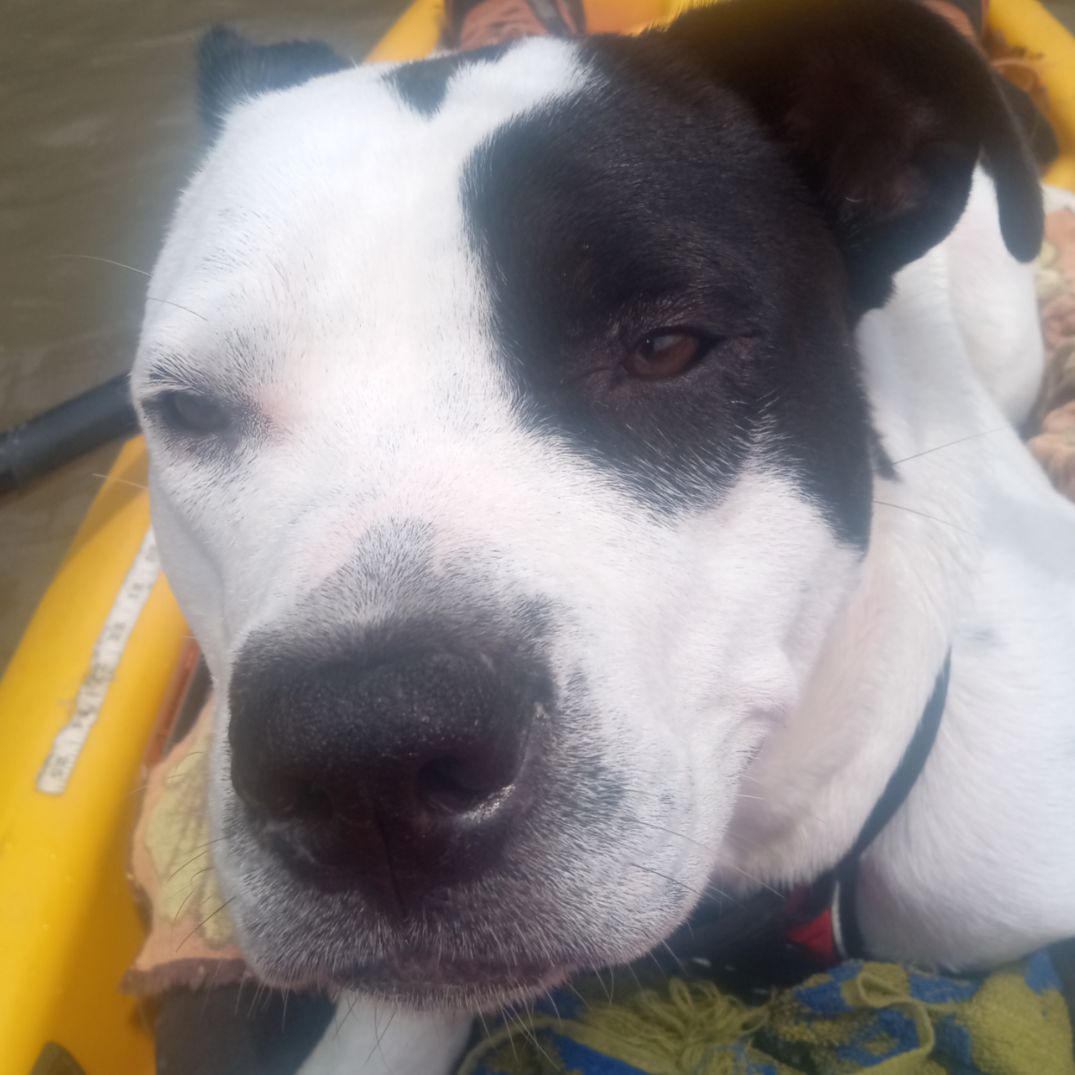 Premium Personal Profile Image