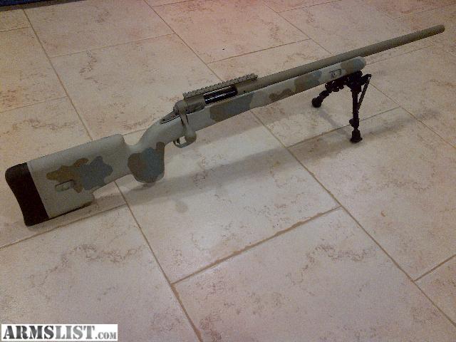 Savage model 10 stock options