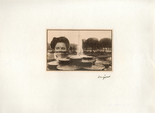 Detail 4&#169;image: M HKA