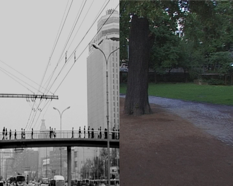 video still©image: M HKA