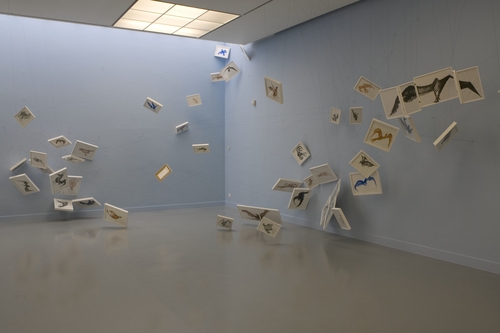 Installation view&#169;image: M HKA/CC