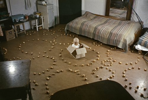 &#169;image: Zofia Kulik