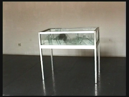 video still: A Stone From Metternich's House in Bohemia