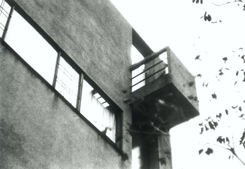 Les Peupliers [Poplars]