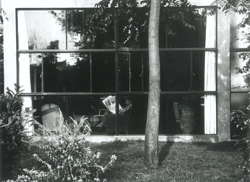 Les Peupliers [Poplars]