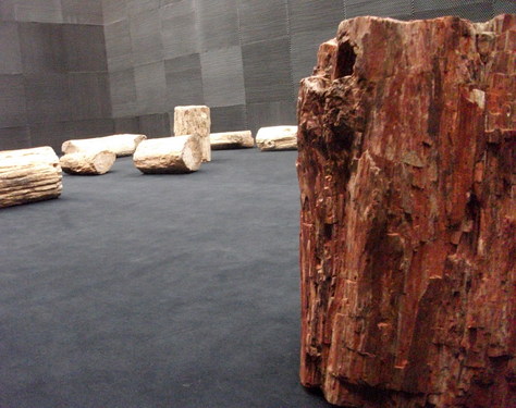 detail&#169;image:  Blaise Mann