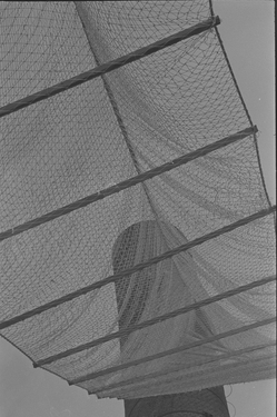 &#169;image: Flor Bex