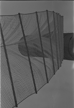 &#169;image: Flor Bex