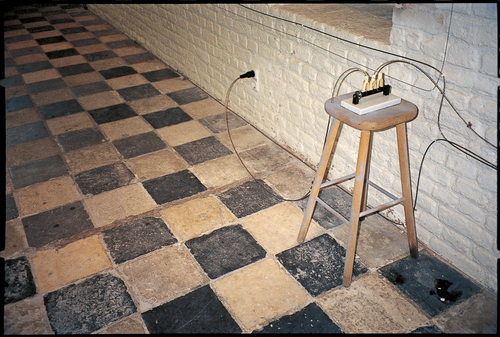 installation detail&#169;image:  Maria Thereza Alves