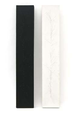 Sans Titre (Deux Erectiles)