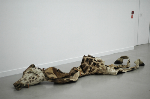 before installation ...&#169;image: M HKA