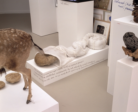 detail©image: M HKA