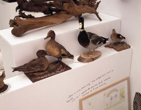 detail©image: M HKA