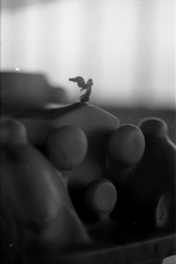 Sans titre (Alina Szapocznikow), David Evrard, 2011
It is a picture that the artist took at the Wiels exhibition on Alina Szapocznikow (2011). Detail from the piece Rolls Royce II , 1971. It is also included in the book. "The Spirit of Ecstasy" is the name that the sculptor gave to his sculpture that has been now for a hundred years on top of Roll Royce car radiators.