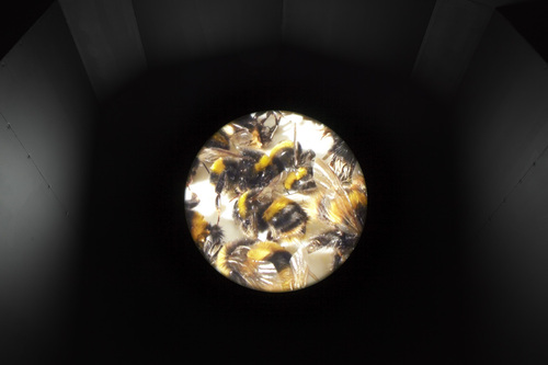 installation view 'It has to be this way 2', BALTIC Centre for Contemporary Art, Gateshead, 2011