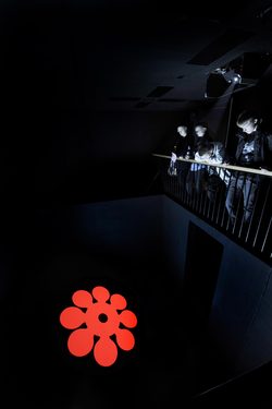 installation view 'It has to be this way 2', BALTIC Centre for Contemporary Art, Gateshead, 2011