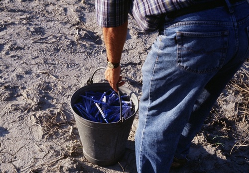 "The man who is sowing ballpoints in the field to grow stories". This
work is mentioned in 'de ent' as the "pennenzaaier".